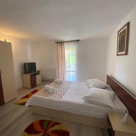 Pensiunea Mary Guest house *