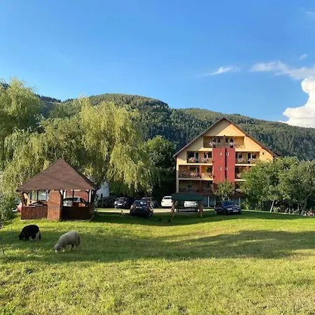 Pensiunea Mary Guest house