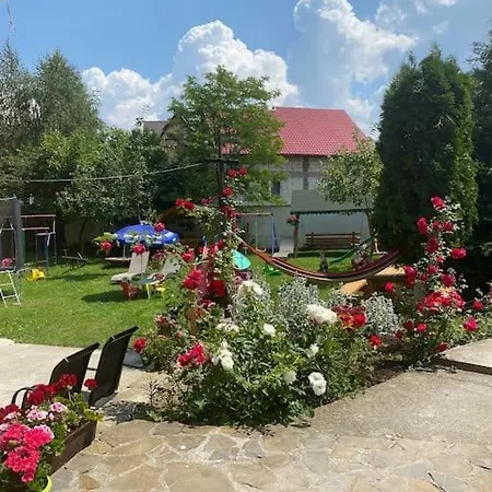 Pensiunea Mary Guest house *